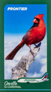 Frontier Orville the Red Cardinal