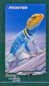 Frontier Sunny the Collared Lizard