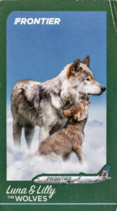 Frontier Luna & Lilly the Wolves