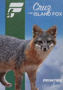 Frontier 2022 Cruz the Island Fox