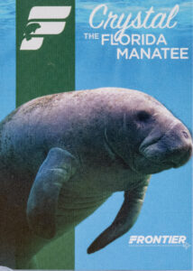 Frontier 2022 Crystal the Florida Manatee