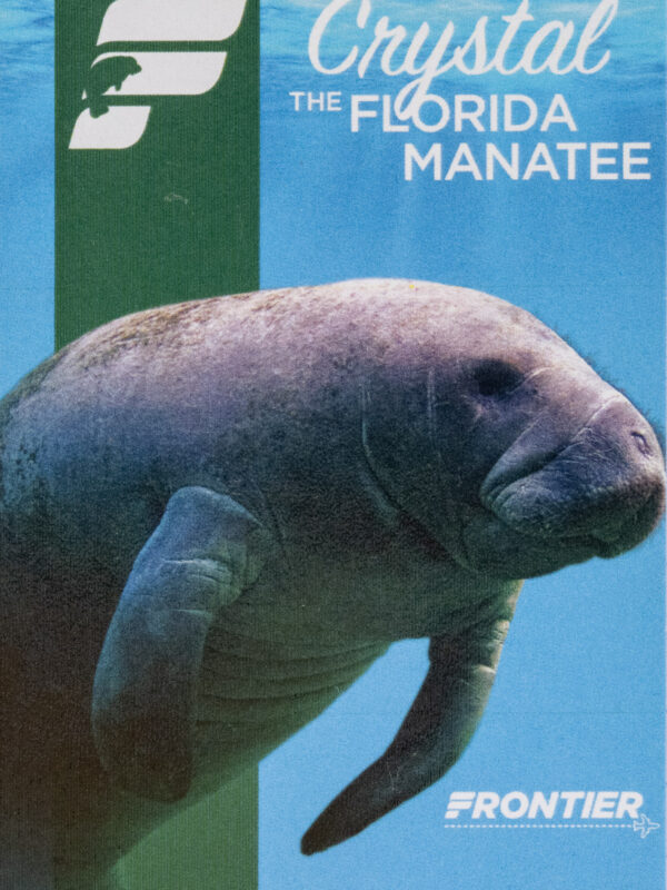 Frontier 2022 Crystal the Florida Manatee