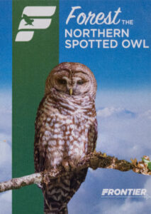 Frontier 2022 Forest the Northern Spotted Owl