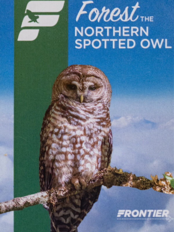 Frontier 2022 Forest the Northern Spotted Owl