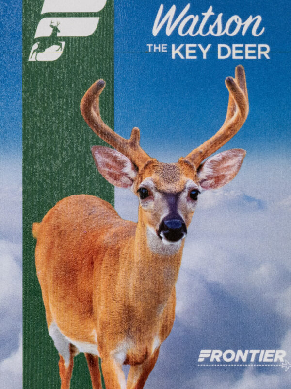 Frontier 2022 Watson the Key Deer