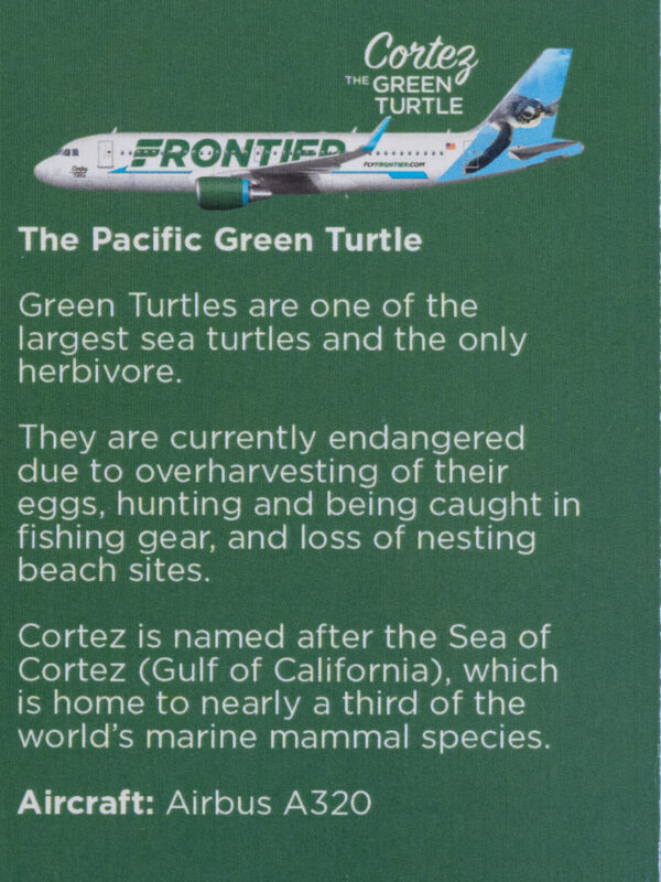 Frontier 2022 Cortez the Green Turtle Back