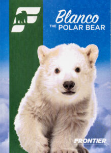 Blanco The Polar Bear