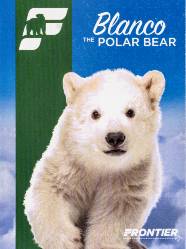 Frontier 2022 Blanco The Polar Bear