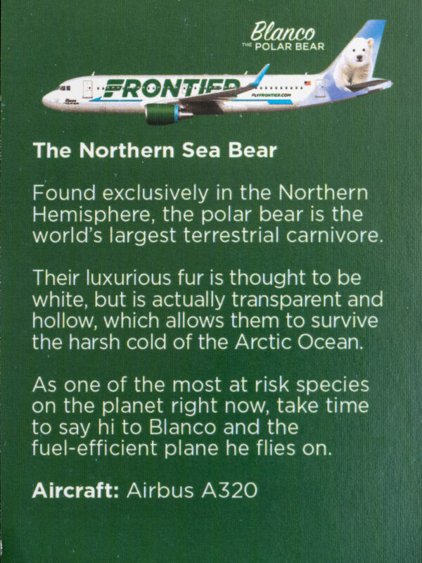 Frontier 2022 Blanco The Polar Bear Back