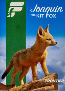 Frontier 2022 Joaquin the Kit Fox
