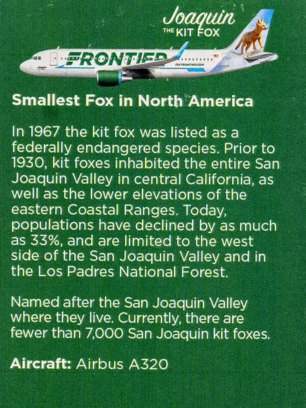 Frontier 2022 Joaquin the Kit Fox Back