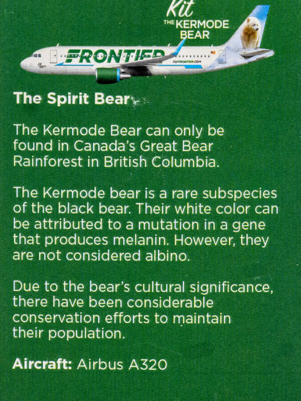 Frontier 2022 Kit the Kermode Bear Back