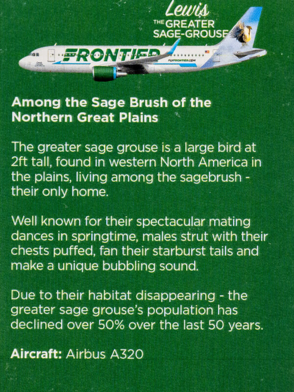 Frontier 2022 Lewis the Sage Grouse Back