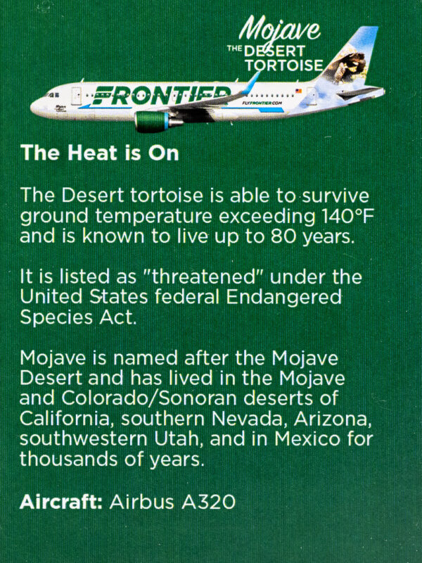 Frontier 2022 Mojave the Desert Tortoise Back