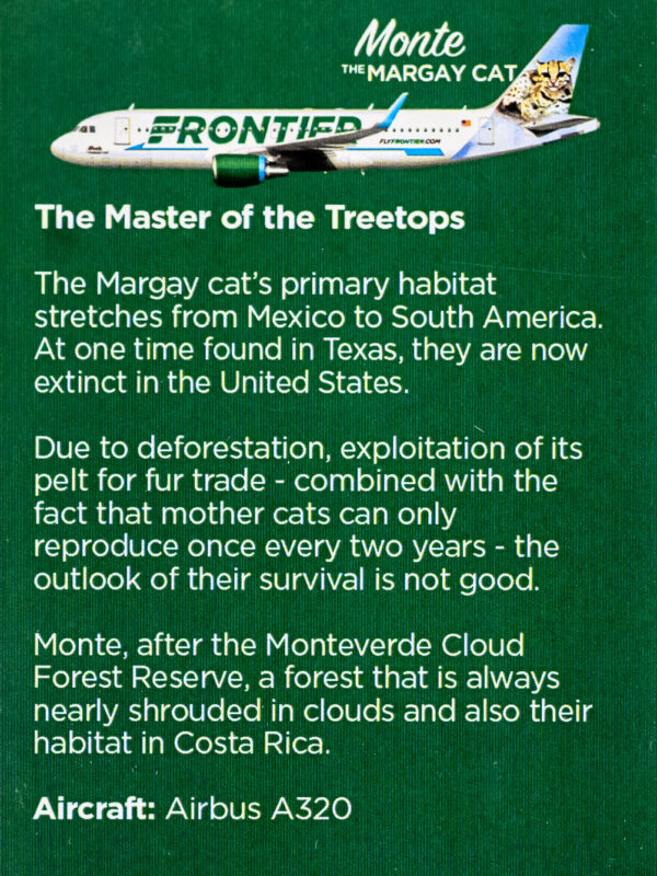 Frontier 2022 Monte the Margay Cat Back