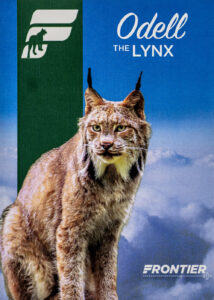 Frontier 2022 Odell the Lynx
