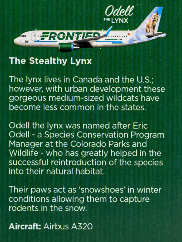 Frontier 2022 Odell the Lynx Back