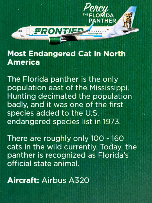 Frontier 2022 Percy the Florida Panther Back