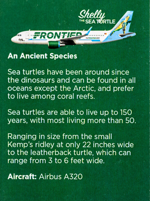 Frontier 2022 Shelly the Sea Turtle Back