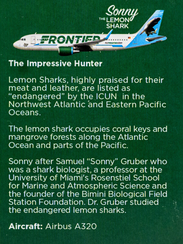 Frontier 2022 Sonny the Lemon Shark Back