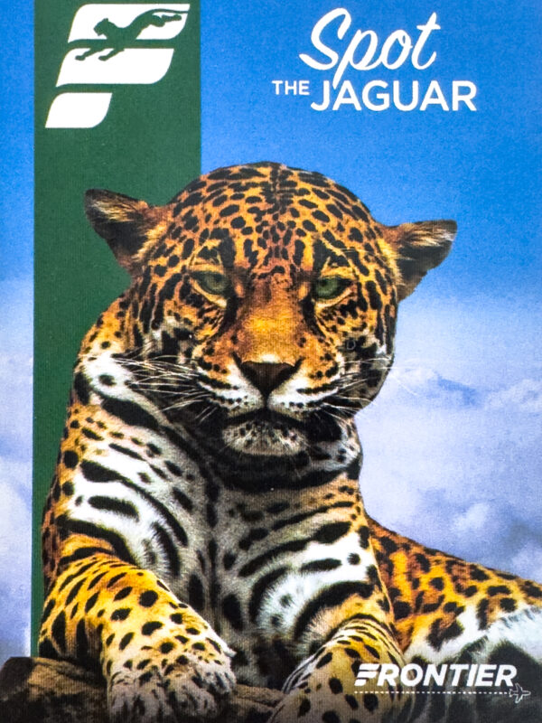 Frontier 2022 Spot the Jaguar