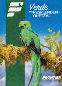 Verde The Resplendent Quetzal