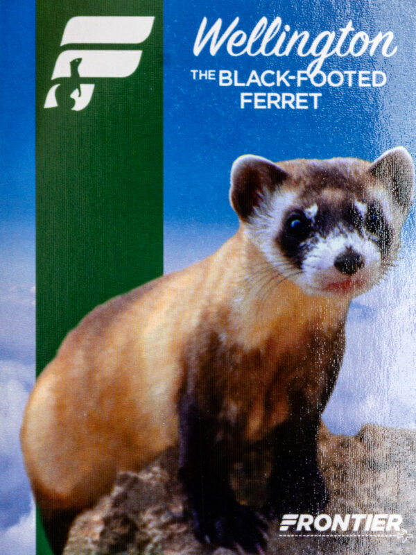 Frontier 2022 Wellington The Black Footed Ferret