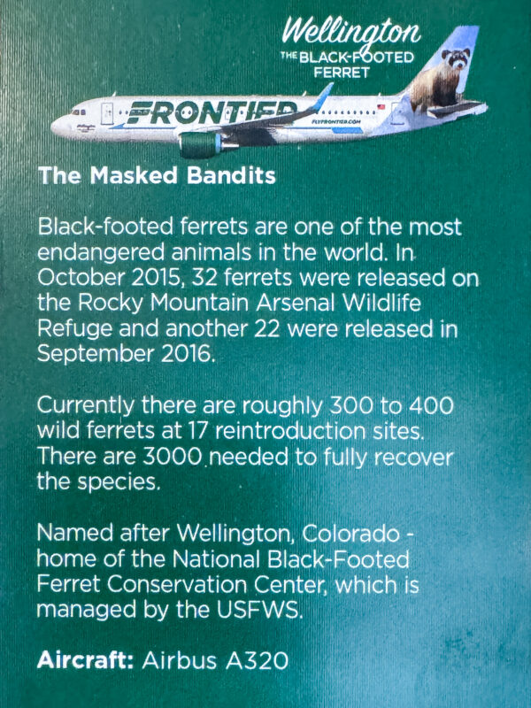 Frontier 2022 Wellington The Black Footed Ferret Back