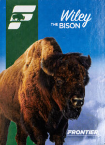 Wiley The Bison