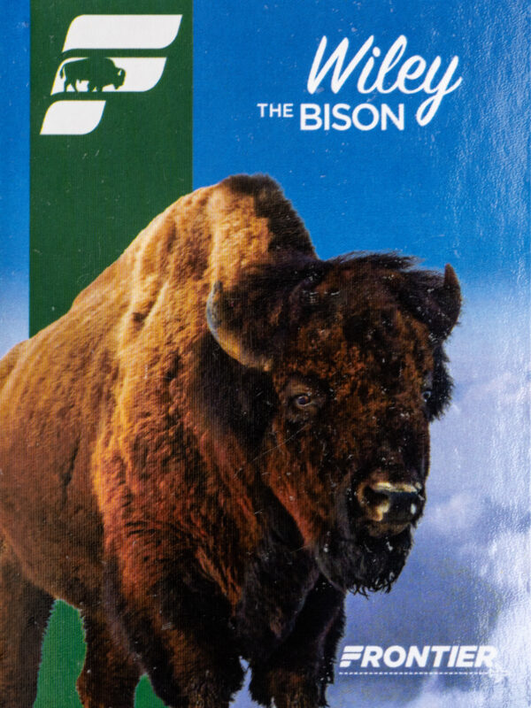 Frontier 2022 Wiley The Bison