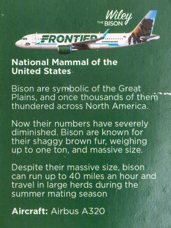 Frontier 2022 Wiley The Bison Back