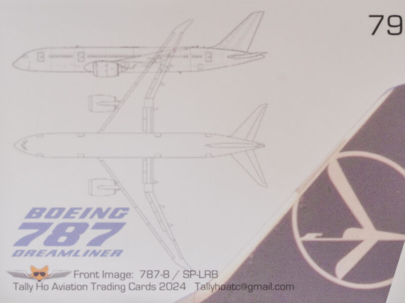 Tally Ho 79 Boeing 787-8 Back
