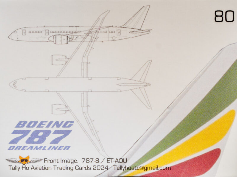 Tally Ho 80 Boeing 787-8 Back